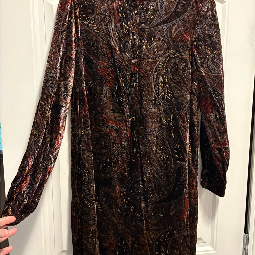 Elegant Paisley Velvet Dress